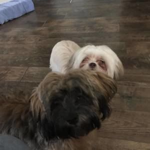 Meet your Posher, Debbie